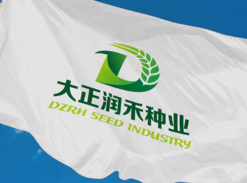 大正润禾种业VI设计
